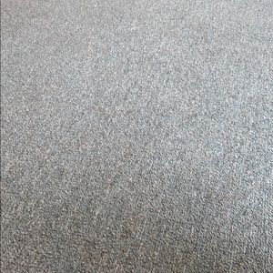 Meet your Posher, Daisy